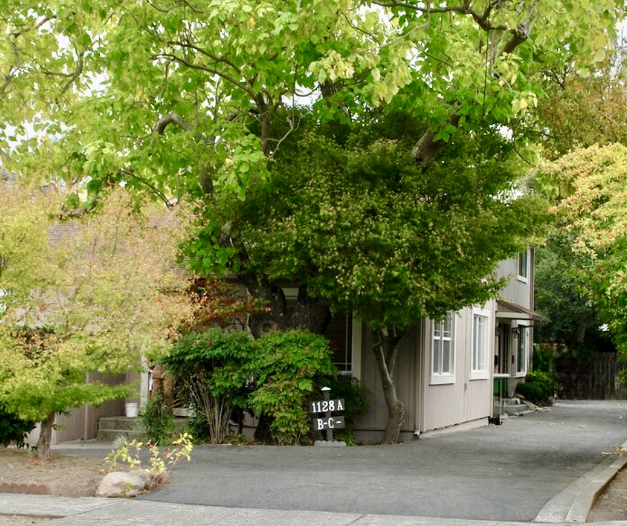 1128 3rd Street - B